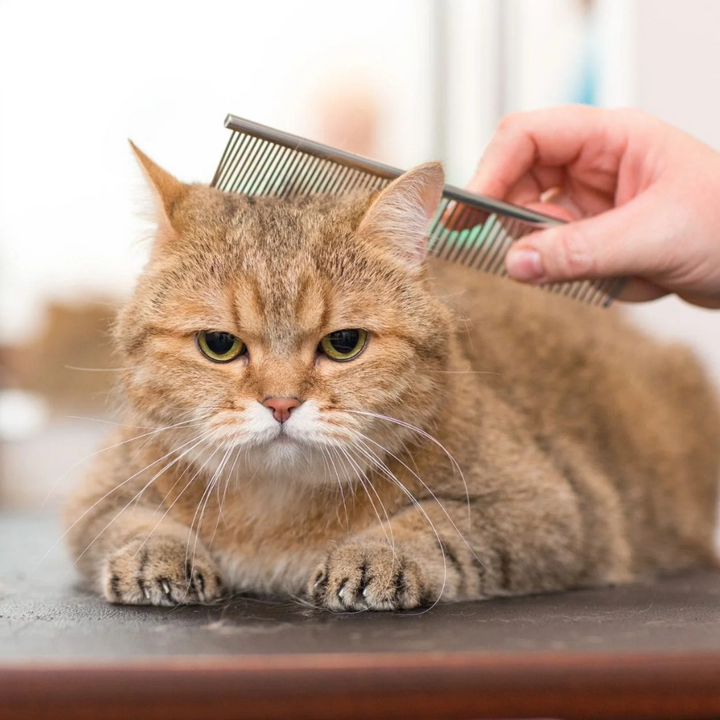 Grooming Supplies
