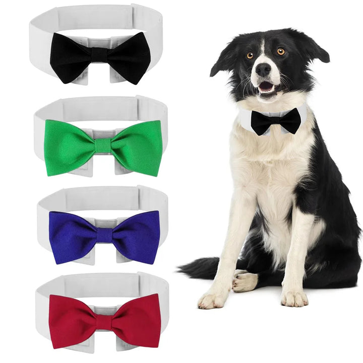🎩 Sucado Adjustable Dog & Cat Formal Necktie – Tuxedo Bow Tie Collar for Weddings, Parties & Holidays 🐾💐