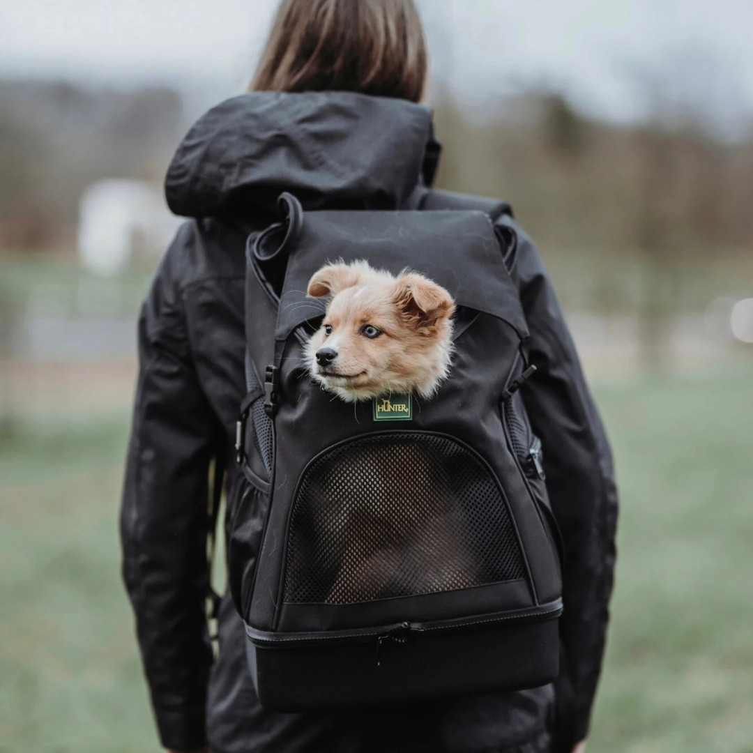 Carriers & Travel Accessories