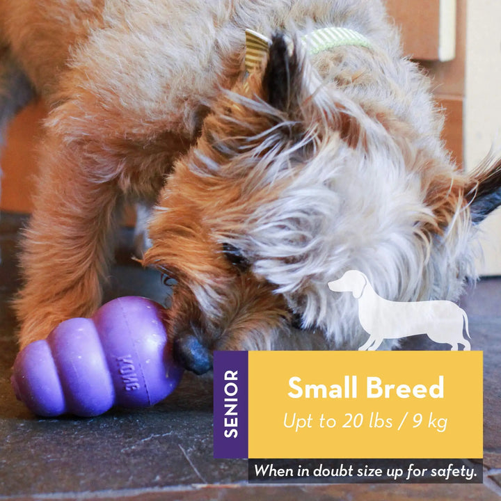 KONG Senior Dog Toy – Gentle Rubber Chew & Fetch (Purple) 💜🐾