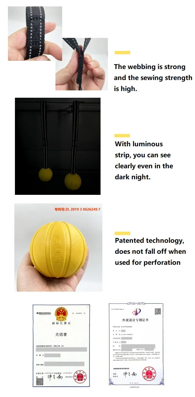 Dog Toy Ball on Rope – Durable EVA Float Toy for Small, Medium & Large Dogs