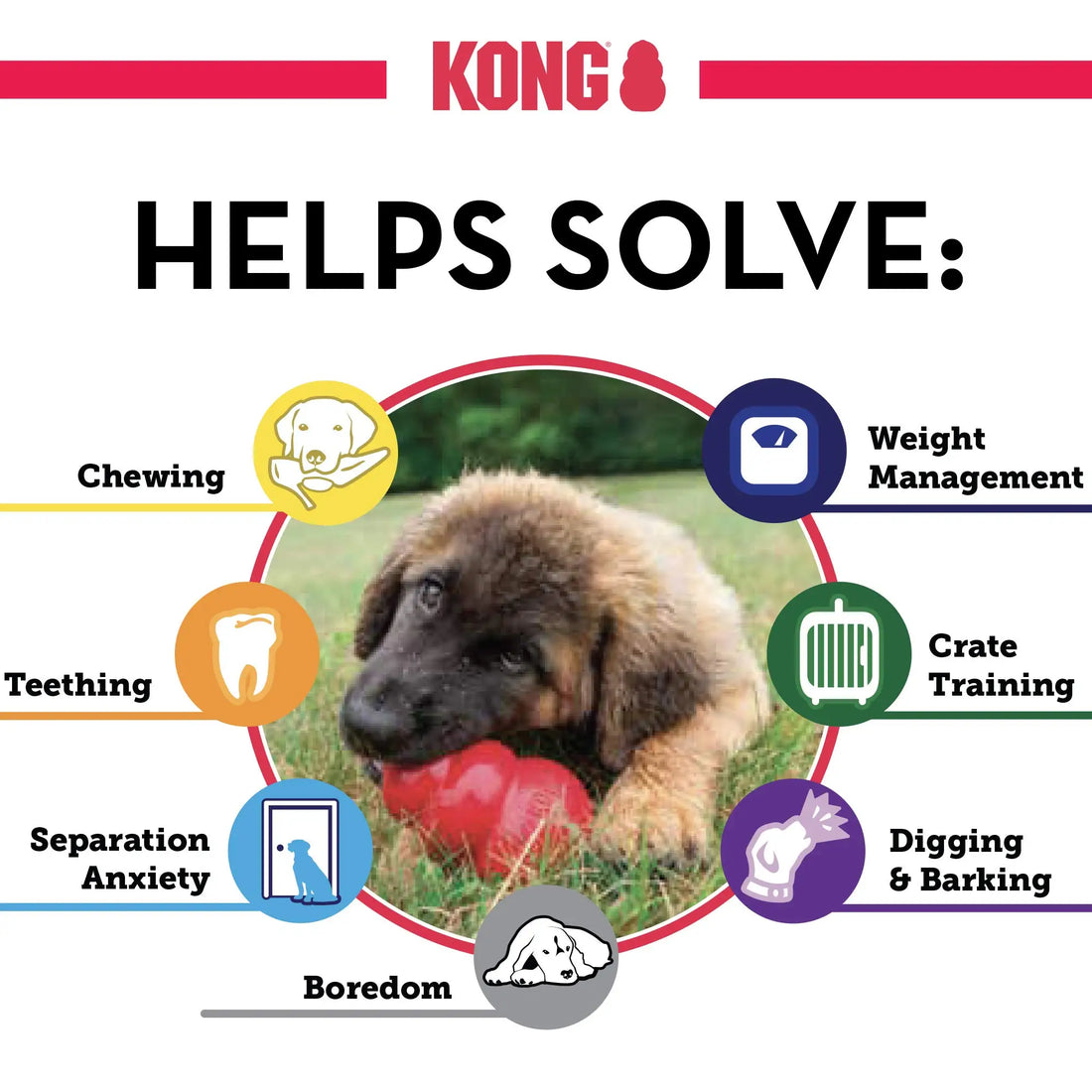 KONG Extreme Dog Toy – Tough Natural Rubber Chew 🐶💪⚫