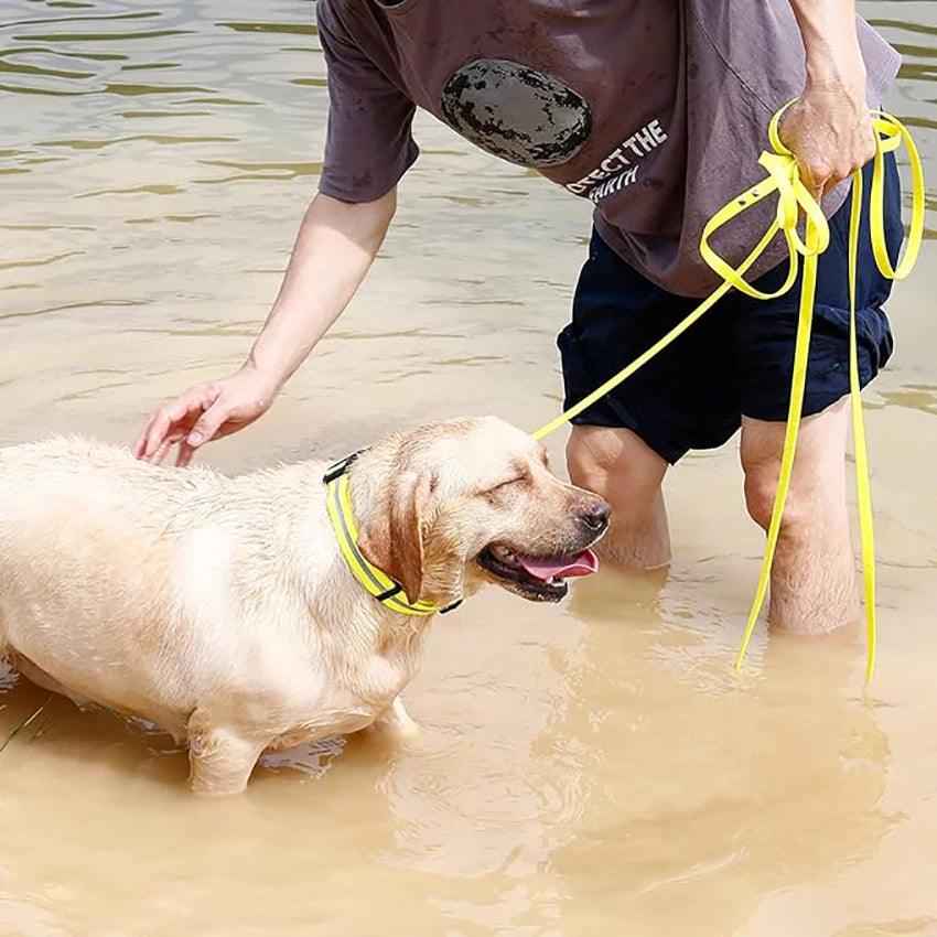 🐶 Waterproof Adjustable Dog Collar – Soft, Durable & Reflective (S/M/L)