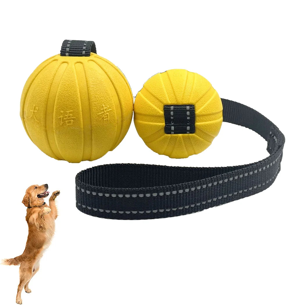 Dog Toy Ball on Rope – Durable EVA Float Toy for Small, Medium & Large Dogs