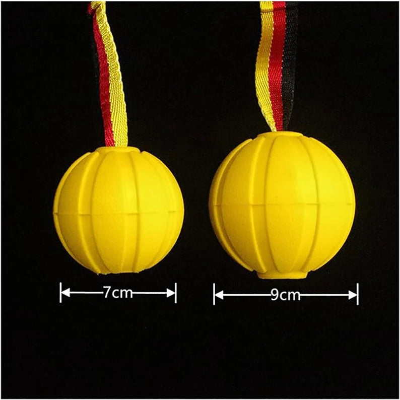 Dog Toy Ball on Rope – Durable EVA Float Toy for Small, Medium & Large Dogs