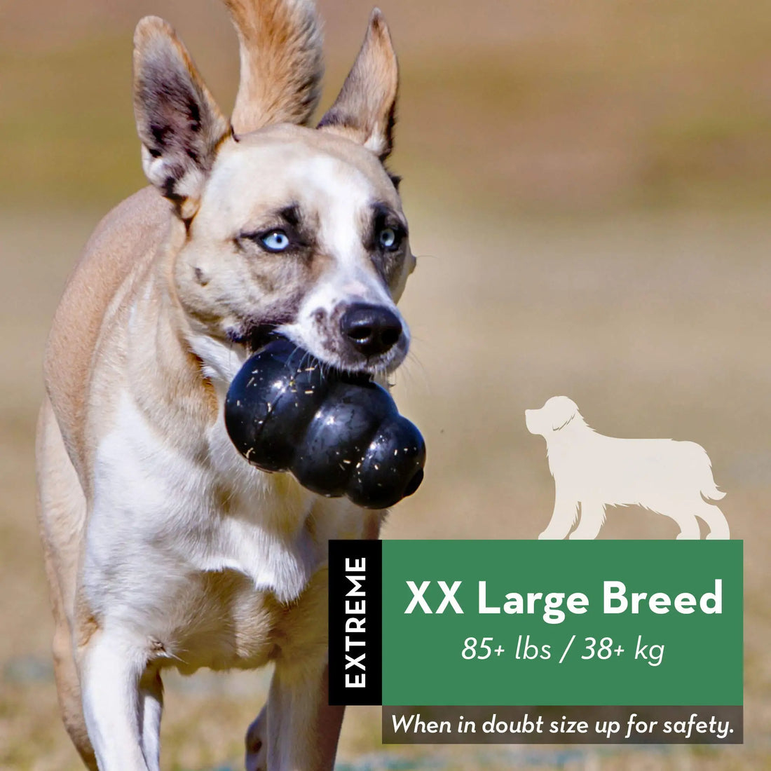 KONG Extreme Dog Toy – Tough Natural Rubber Chew 🐶💪⚫