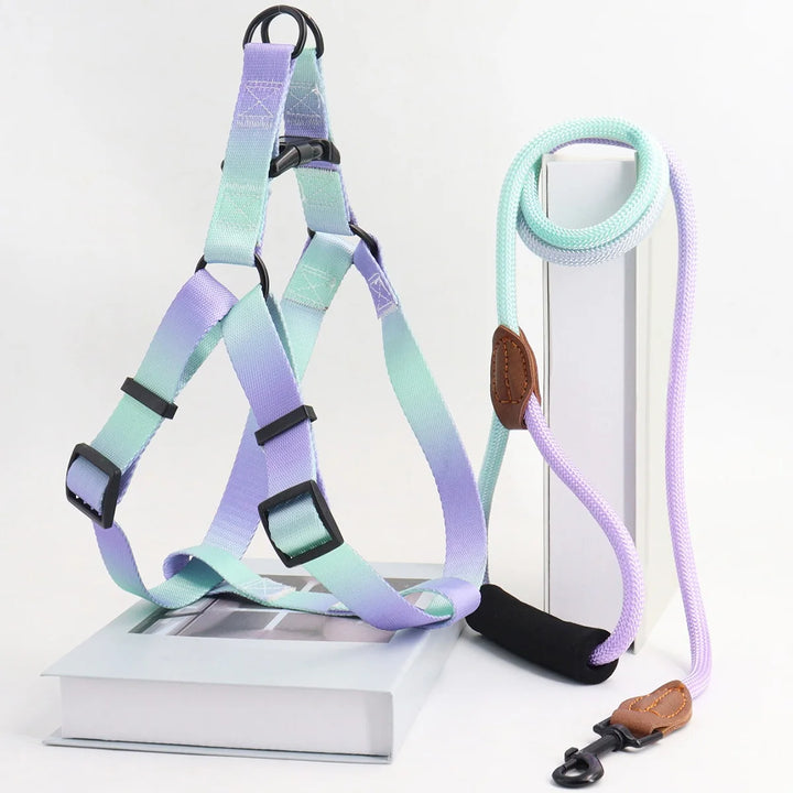 🌈 Colorful Pet Harness & Leash Set – Adjustable Comfort for Dogs & Cats
