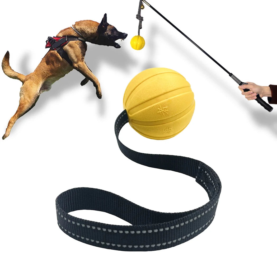 Dog Toy Ball on Rope – Durable EVA Float Toy for Small, Medium & Large Dogs