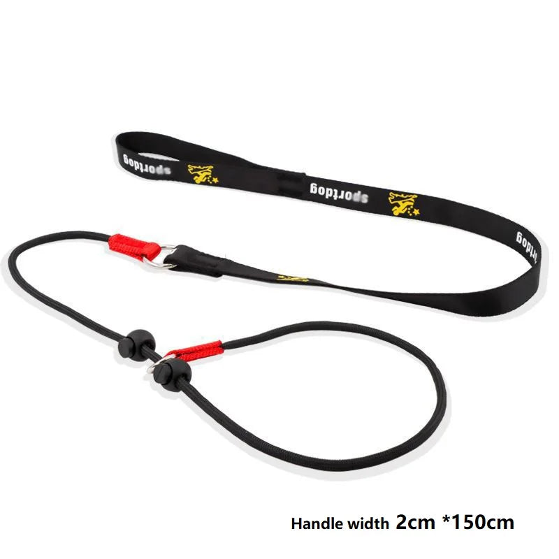 Training Dog Choking Rope Leash 2-in-1 Lead Collar – P-Shaped Chain Slip Lead (150cm)