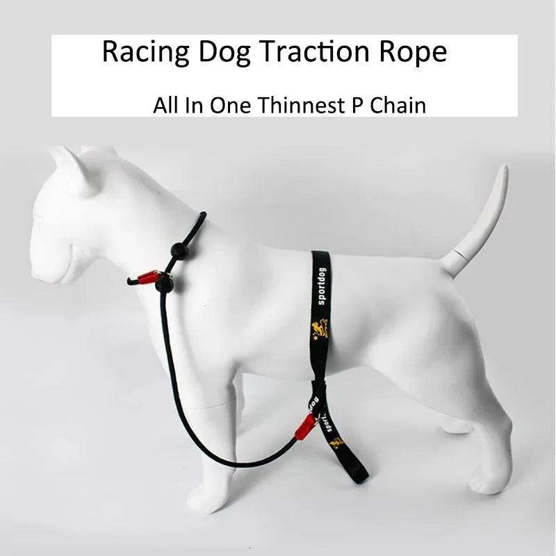 Training Dog Choking Rope Leash 2-in-1 Lead Collar – P-Shaped Chain Slip Lead (150cm)