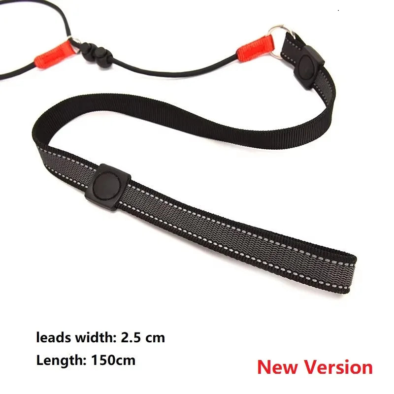 Training Dog Choking Rope Leash 2-in-1 Lead Collar – P-Shaped Chain Slip Lead (150cm)