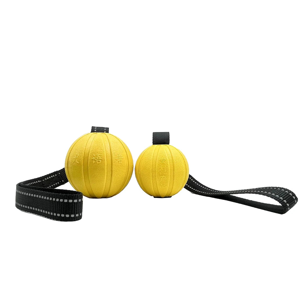 Dog Toy Ball on Rope – Durable EVA Float Toy for Small, Medium & Large Dogs