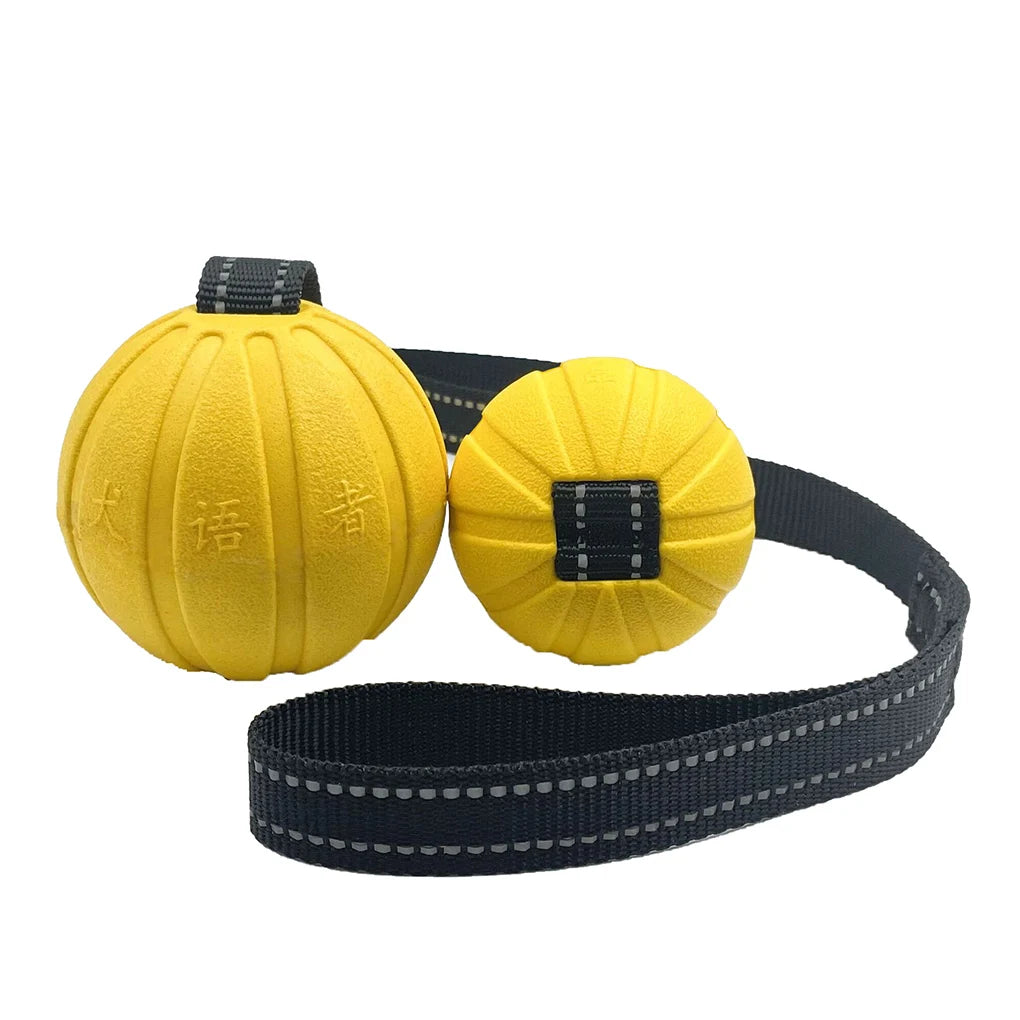 Dog Toy Ball on Rope – Durable EVA Float Toy for Small, Medium & Large Dogs