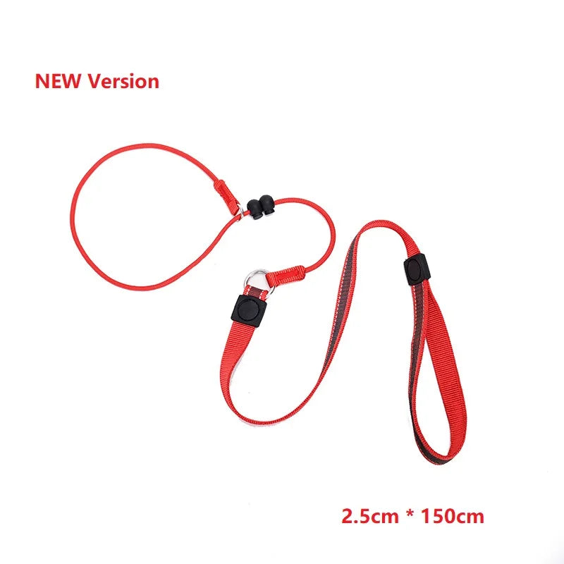 Training Dog Choking Rope Leash 2-in-1 Lead Collar – P-Shaped Chain Slip Lead (150cm)