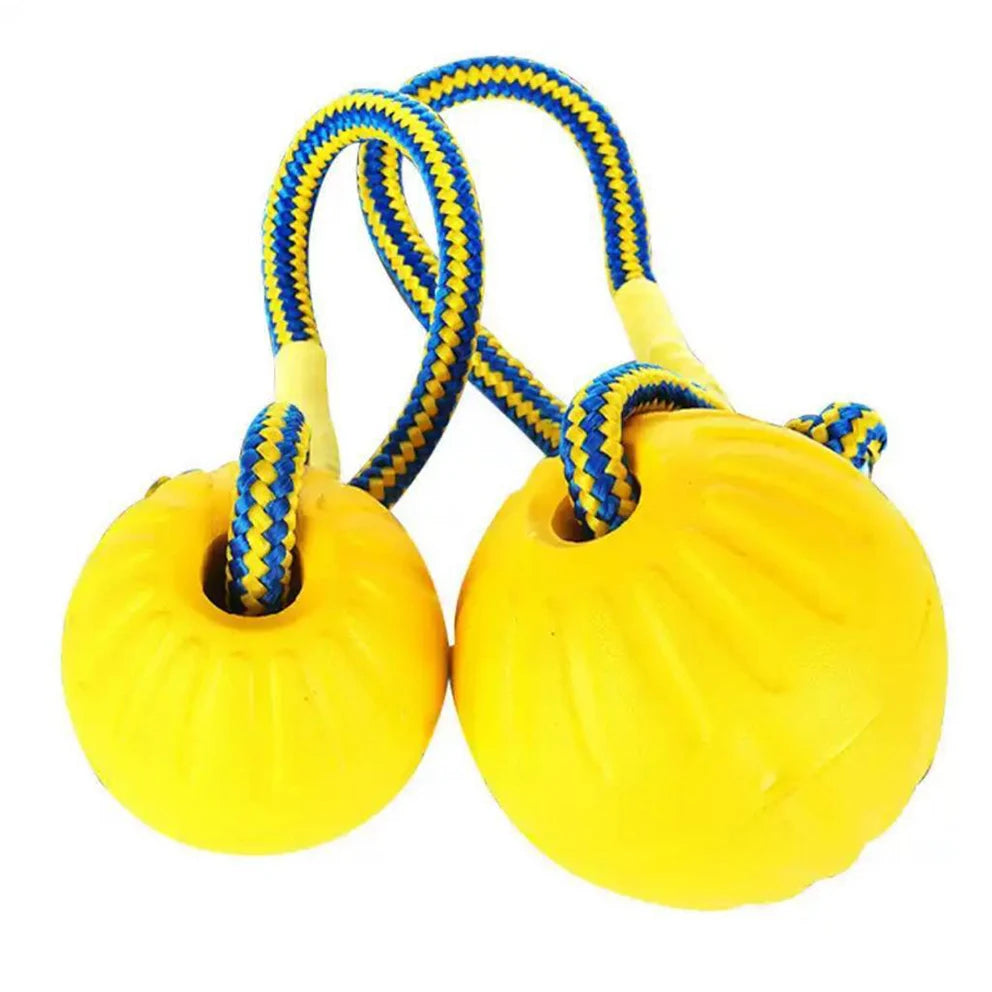 Interactive Flirt Pole for Dogs – Leather Bite Rag & Puppy Ball Toy for K9 Training, Teething & Play