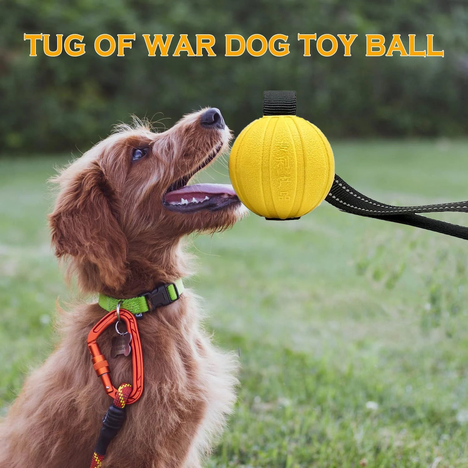 Dog Toy Ball on Rope – Durable EVA Float Toy for Small, Medium & Large Dogs