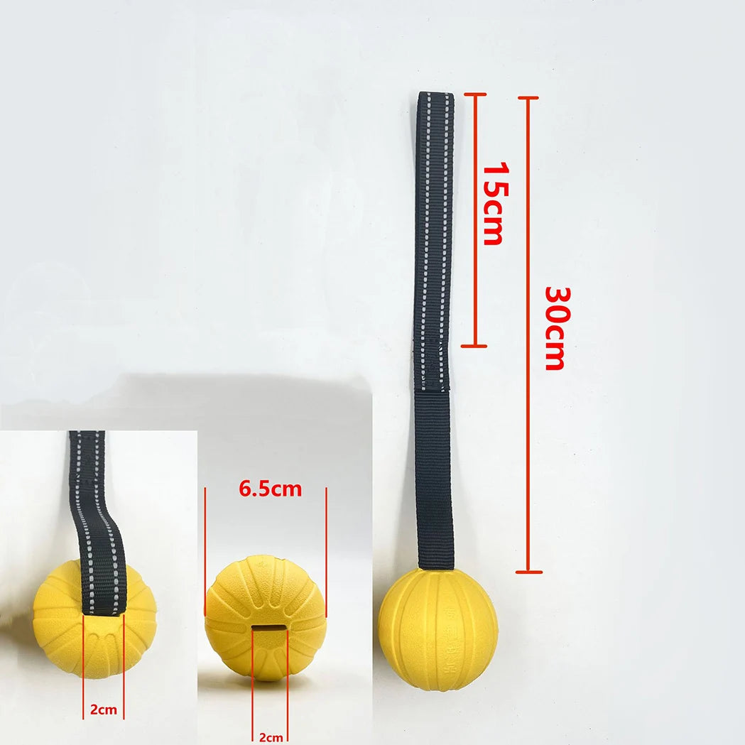 Interactive Flirt Pole for Dogs – Leather Bite Rag & Puppy Ball Toy for K9 Training, Teething & Play