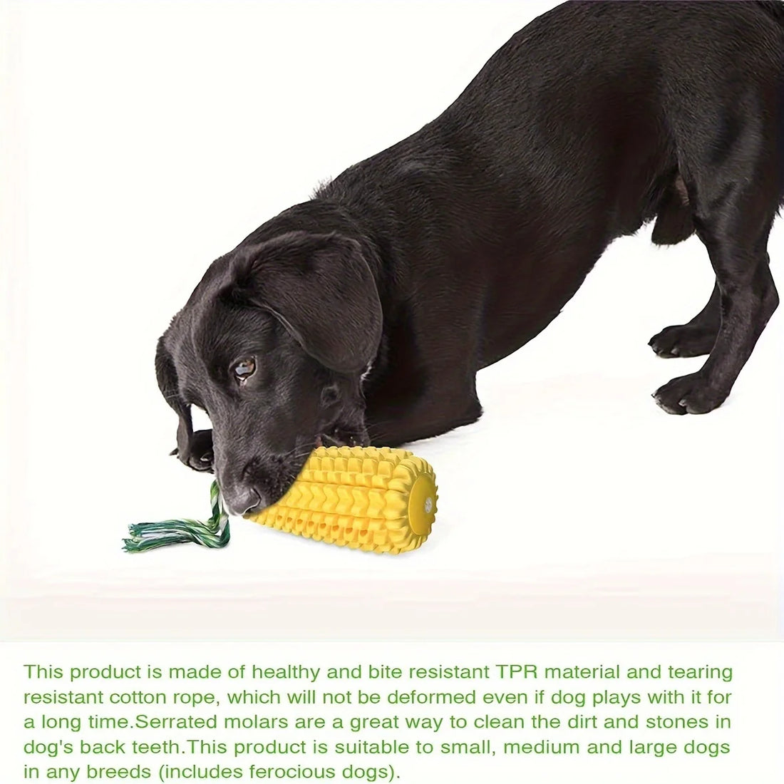 Corn Dog Chew Toys – Toothbrush Style for Aggressive Chewers, Teeth Cleaning & Interactive Play (Medium/Large Breeds)