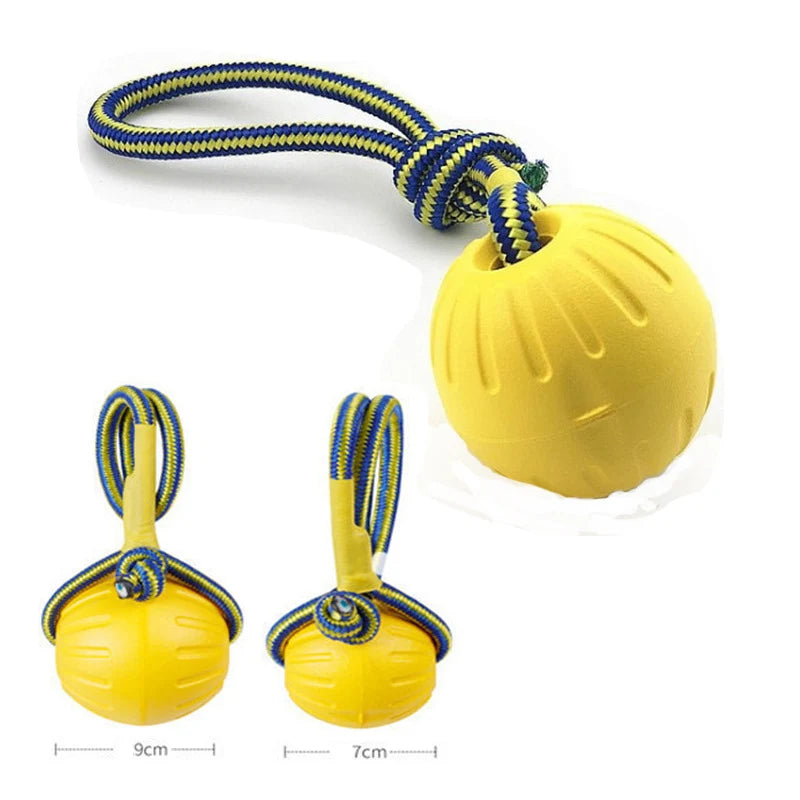 Interactive Flirt Pole for Dogs – Leather Bite Rag & Puppy Ball Toy for K9 Training, Teething & Play