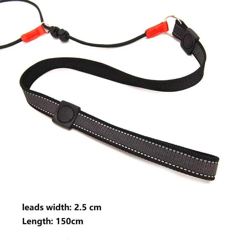Training Dog Choking Rope Leash 2-in-1 Lead Collar – P-Shaped Chain Slip Lead (150cm)