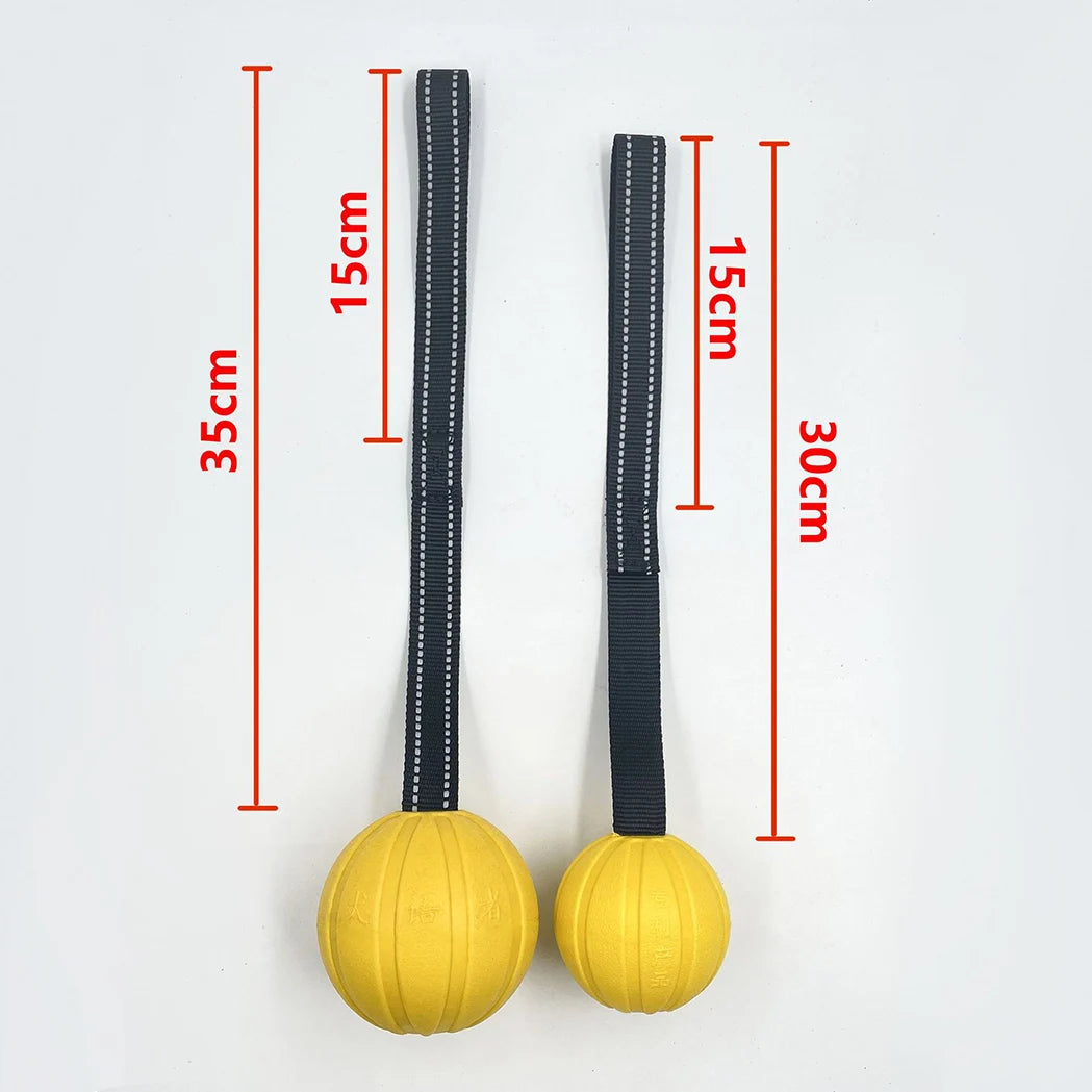 Interactive Flirt Pole for Dogs – Leather Bite Rag & Puppy Ball Toy for K9 Training, Teething & Play