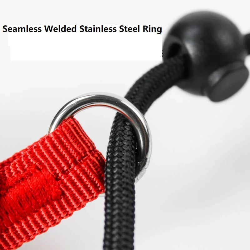 Training Dog Choking Rope Leash 2-in-1 Lead Collar – P-Shaped Chain Slip Lead (150cm)