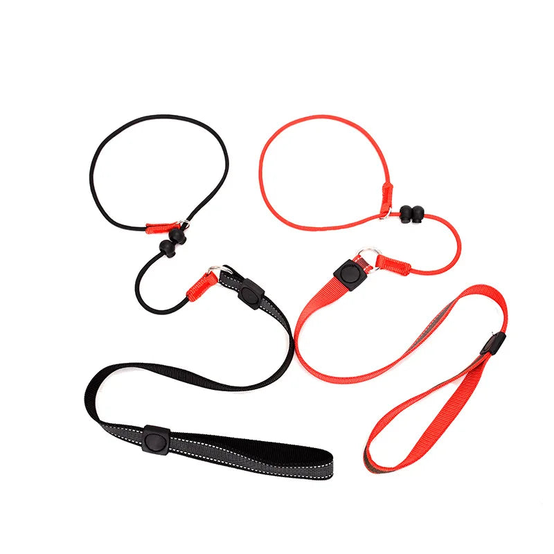 Training Dog Choking Rope Leash 2-in-1 Lead Collar – P-Shaped Chain Slip Lead (150cm)