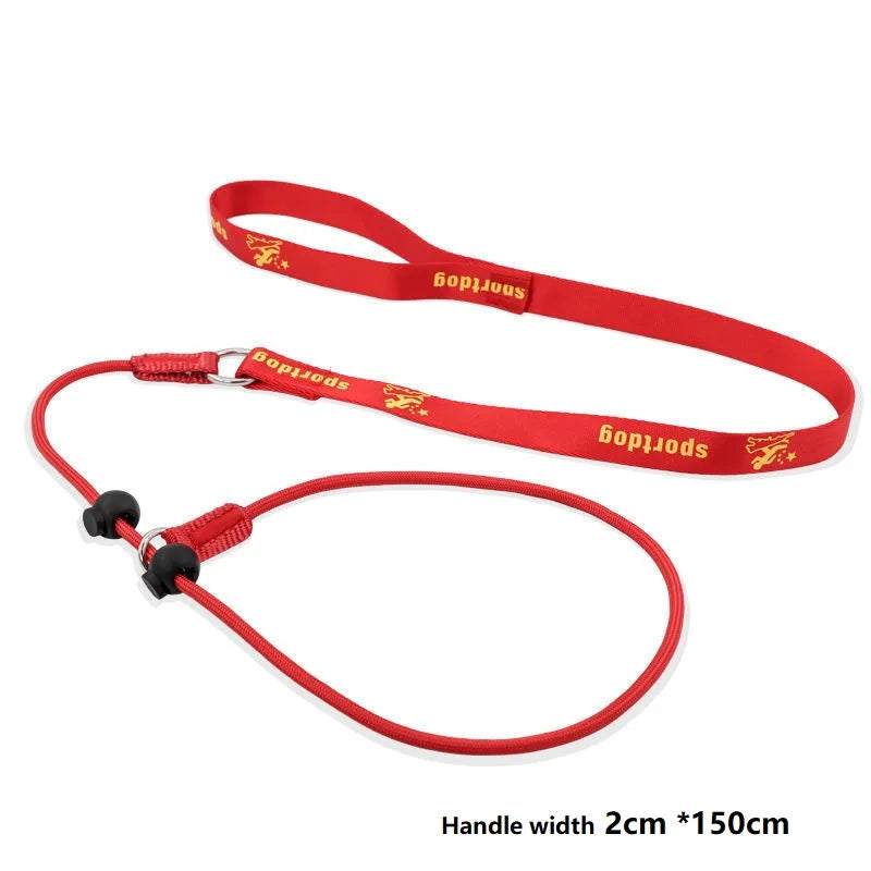 Training Dog Choking Rope Leash 2-in-1 Lead Collar – P-Shaped Chain Slip Lead (150cm)