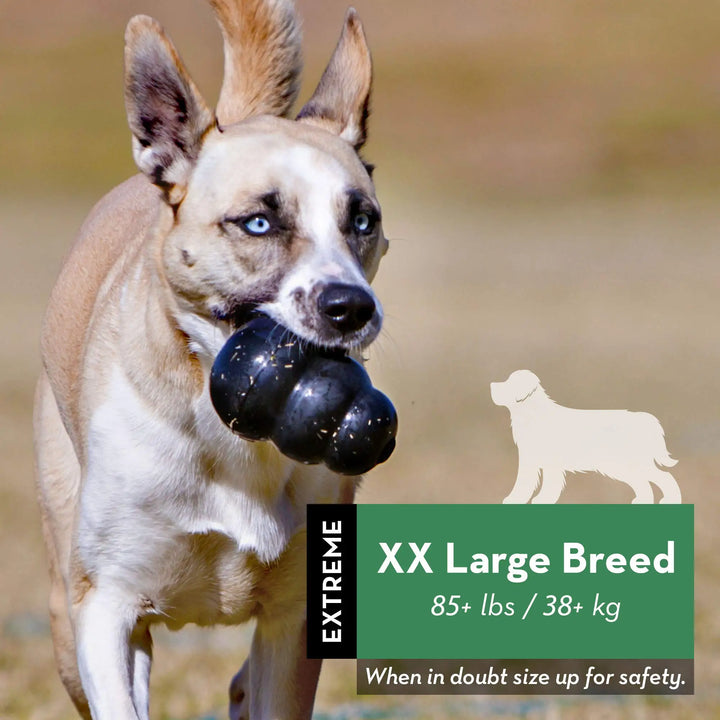 KONG Extreme Dog Toy – Tough Natural Rubber Chew 🐶💪⚫