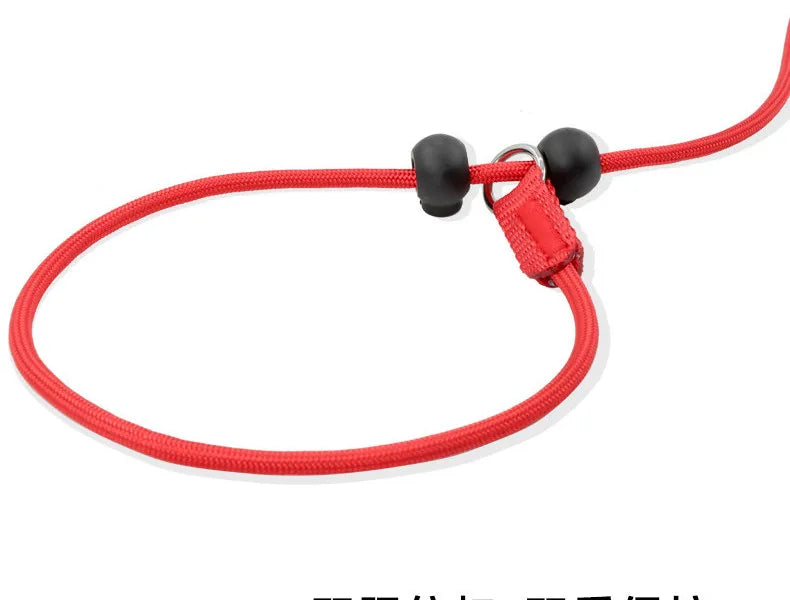 Training Dog Choking Rope Leash 2-in-1 Lead Collar – P-Shaped Chain Slip Lead (150cm)