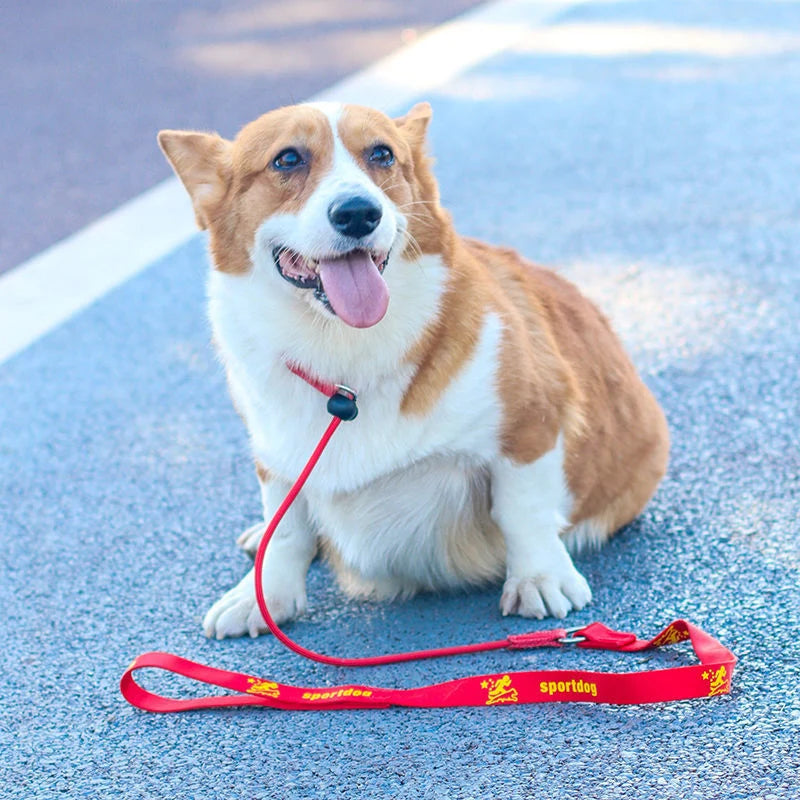 Training Dog Choking Rope Leash 2-in-1 Lead Collar – P-Shaped Chain Slip Lead (150cm)