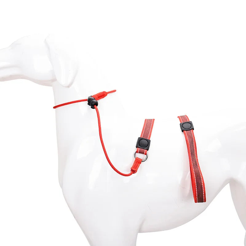 Training Dog Choking Rope Leash 2-in-1 Lead Collar – P-Shaped Chain Slip Lead (150cm)