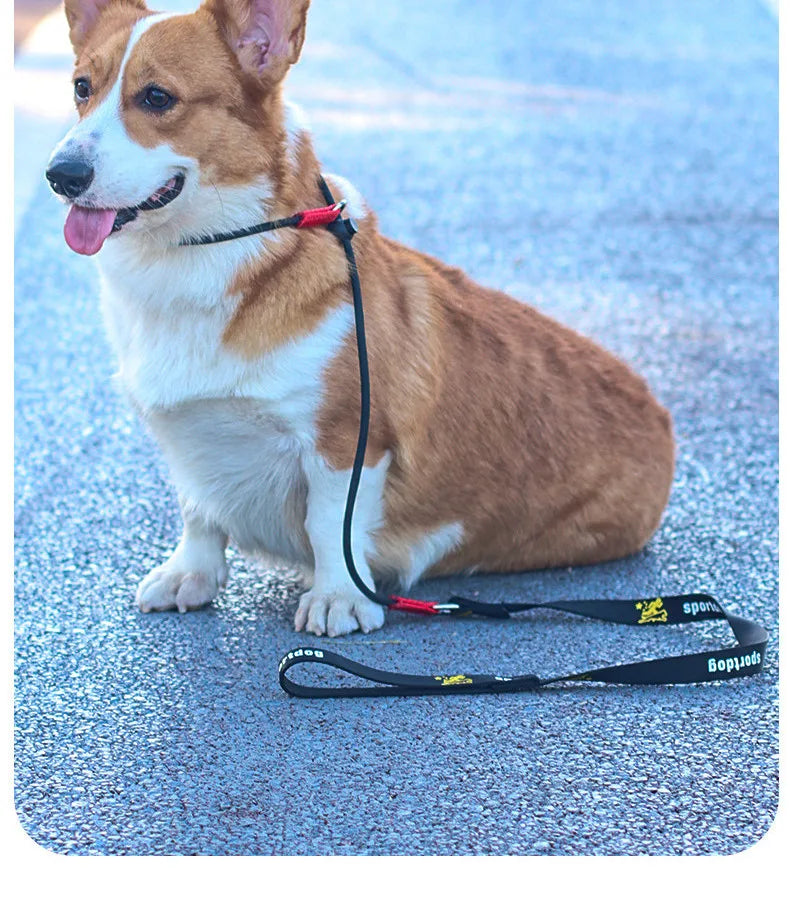 Training Dog Choking Rope Leash 2-in-1 Lead Collar – P-Shaped Chain Slip Lead (150cm)