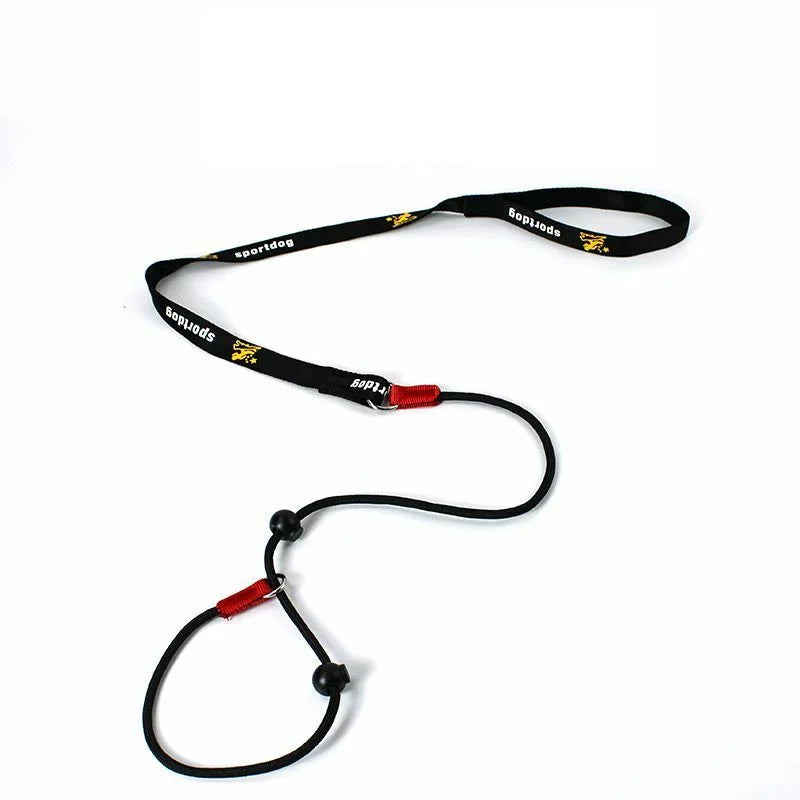 Training Dog Choking Rope Leash 2-in-1 Lead Collar – P-Shaped Chain Slip Lead (150cm)