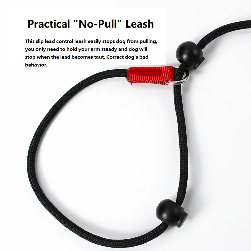 Training Dog Choking Rope Leash 2-in-1 Lead Collar – P-Shaped Chain Slip Lead (150cm)