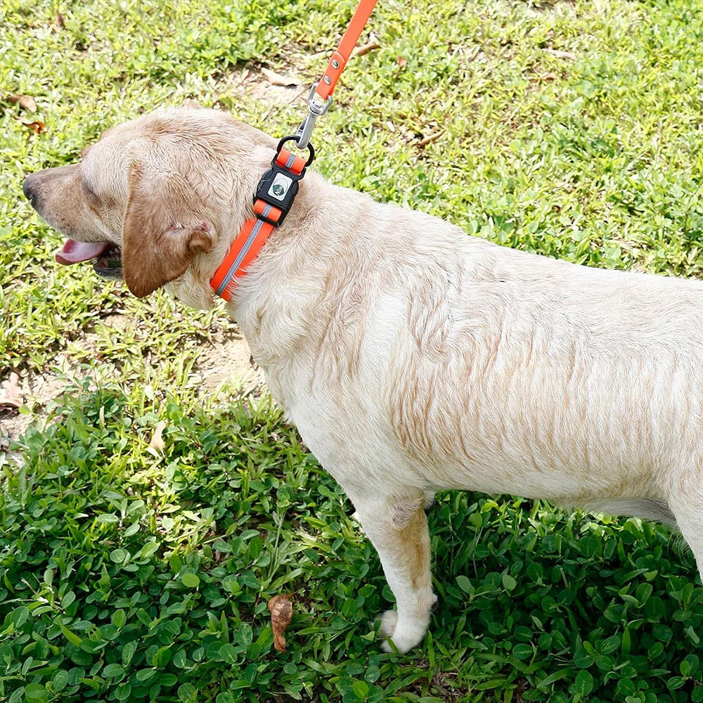 🐶 Waterproof Adjustable Dog Collar – Soft, Durable & Reflective (S/M/L)