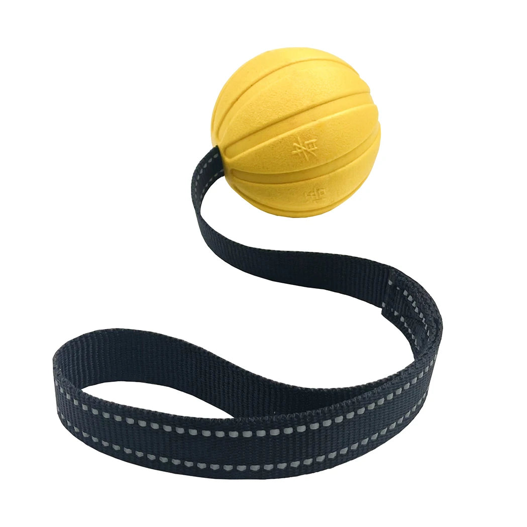 Interactive Flirt Pole for Dogs – Leather Bite Rag & Puppy Ball Toy for K9 Training, Teething & Play