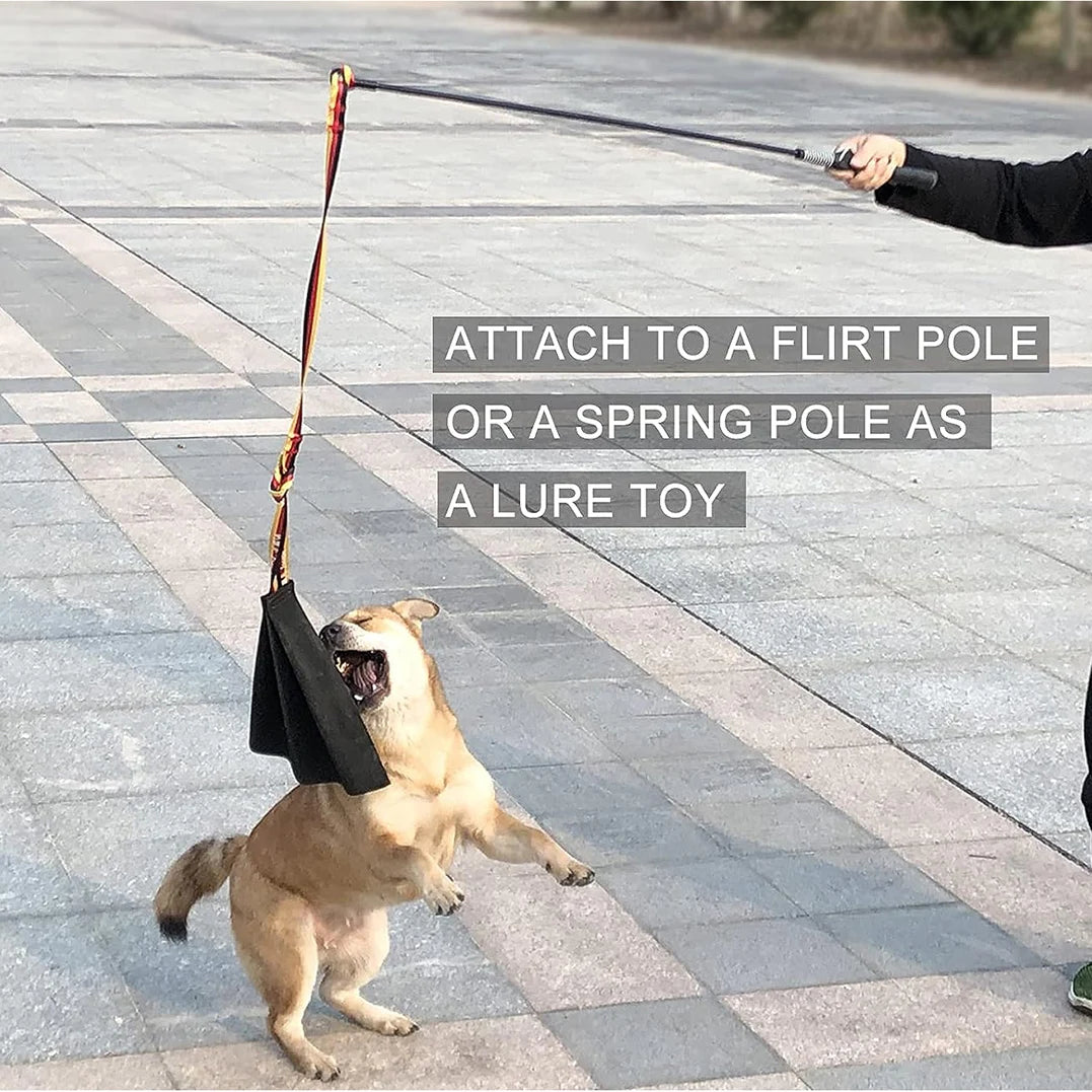 Interactive Flirt Pole for Dogs – Leather Bite Rag & Puppy Ball Toy for K9 Training, Teething & Play