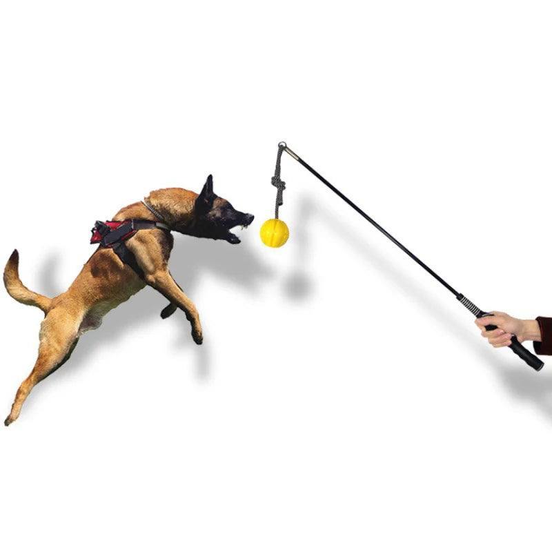 Interactive Flirt Pole for Dogs – Leather Bite Rag & Puppy Ball Toy for K9 Training, Teething & Play