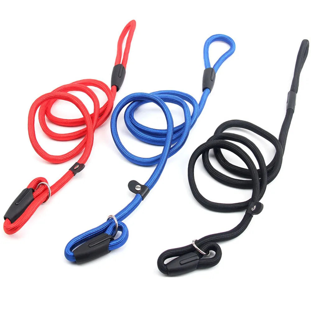 Nylon Slip Rope Dog Leash – No-Pull Training Lead for Small Dogs