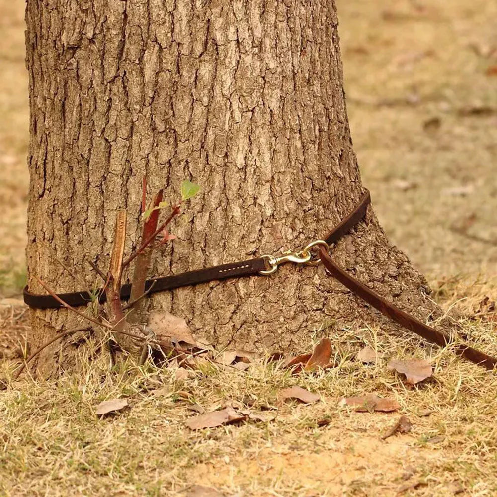 Real Leather Multifunctional Dog Leash – Hands-Free, Tie-Out Cable, Double Dog Walking & Running Lead