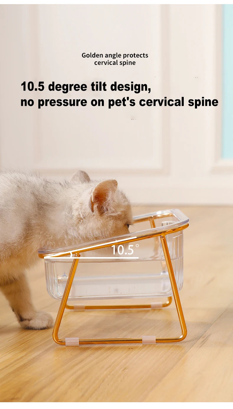🐾 Pet Double Bowl with Raised Golden Stand – Transparent Cat & Dog Feeder