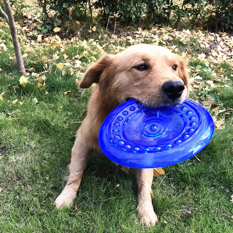 Funny Soft Rubber Dog Flying Disc – Bite-Resistant Saucer Toy for Small, Medium & Large Dogs – Agile Training & Outdoor Play