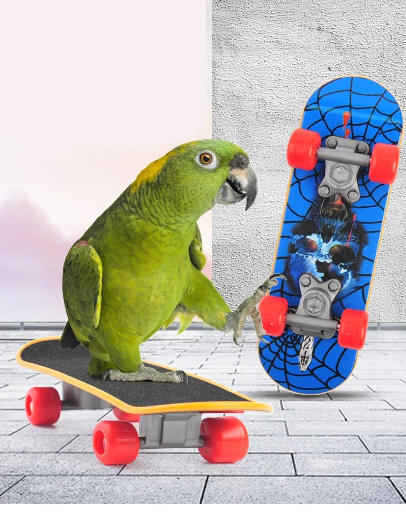 1 PC Parrot Training Skateboard – Bird Skates Perch for Lovebirds, Canaries & Calopsita