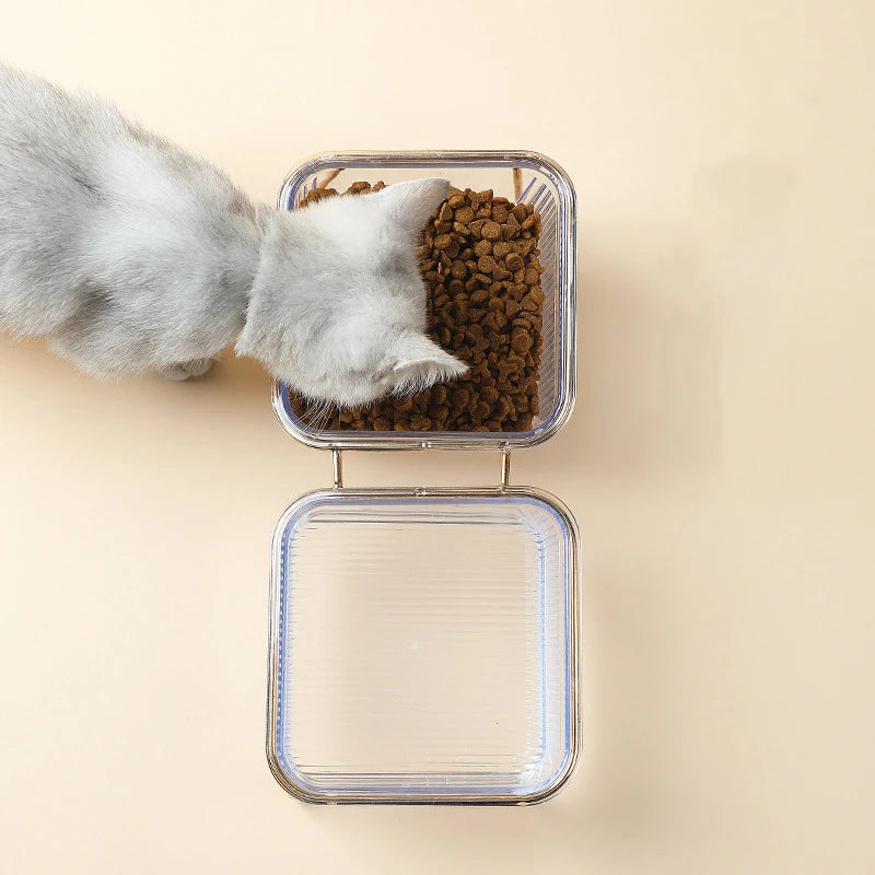 🐾 Pet Double Bowl with Raised Golden Stand – Transparent Cat & Dog Feeder