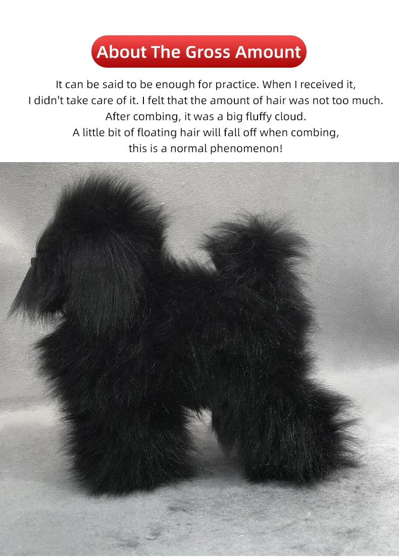 🐩 Pet Grooming Practice Model Dog – Full-Body Simulation Teddy with Realistic Synthetic Hair ✂️💇‍♀️