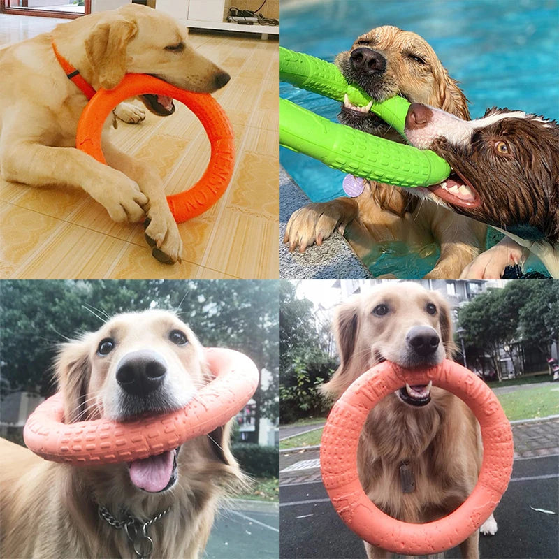 EVA Interactive Training Ring Puller – Durable Flying Disc Dog Toy for Large & Small Dogs