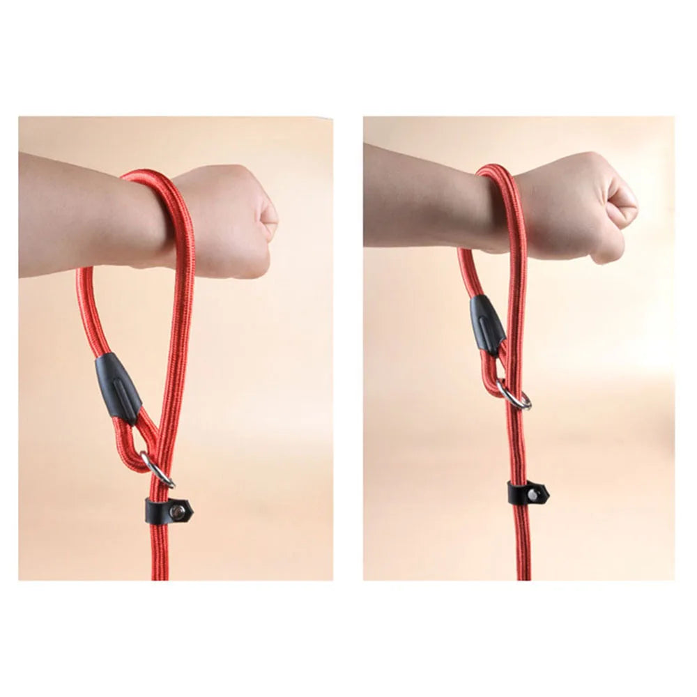 Nylon Slip Rope Dog Leash – No-Pull Training Lead for Small Dogs