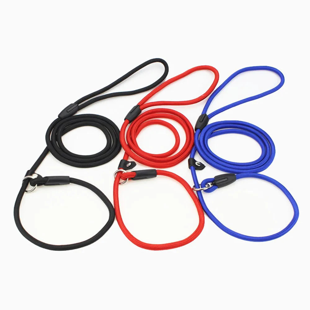 Nylon Slip Rope Dog Leash – No-Pull Training Lead for Small Dogs