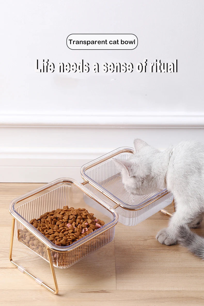 🐾 Pet Double Bowl with Raised Golden Stand – Transparent Cat & Dog Feeder